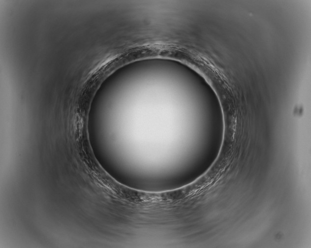 X0000101141302200806270910