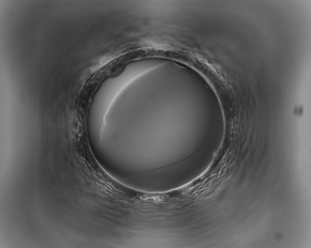 X0000101141303200806270910