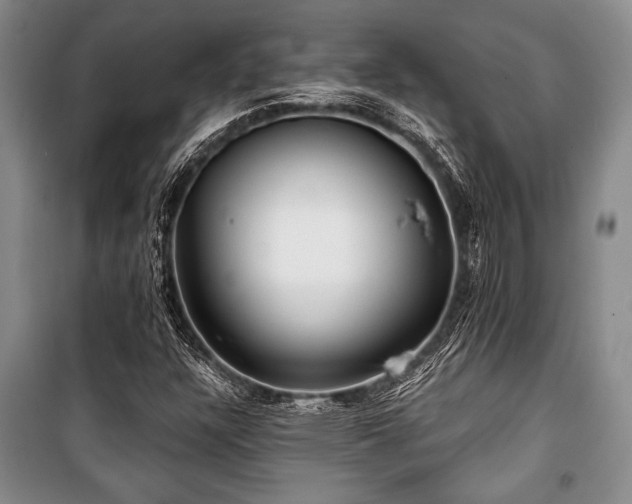 X0000101141304200806270910