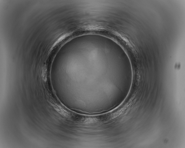 X0000101141306200806270910