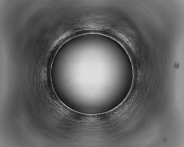 X0000101141307200806270910