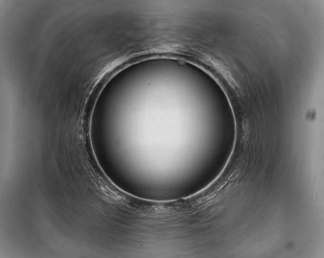 X0000101141308200806270910