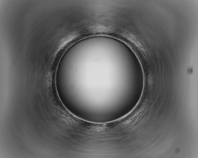 X0000101141309200806270910