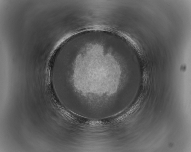 X0000101141310200806270910