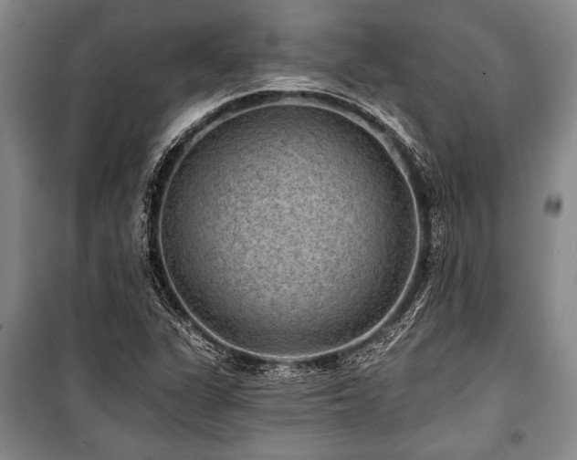 X0000101141311200806270910