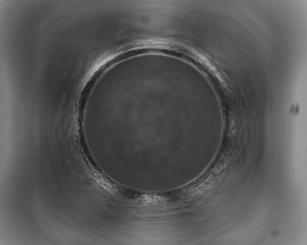 X0000101141312200806270910