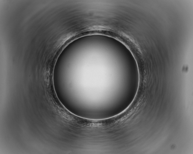 X0000101141313200806270910