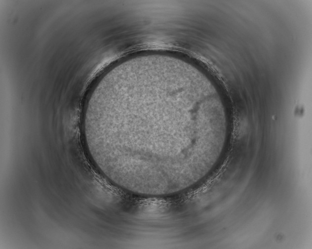 X0000101141314200806270910