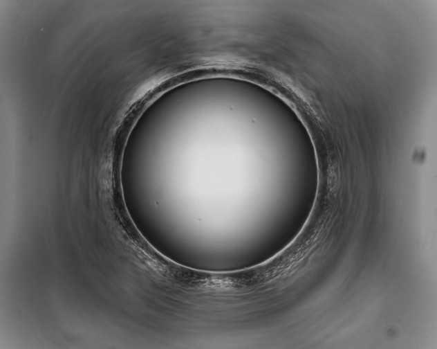 X0000101141315200806270910