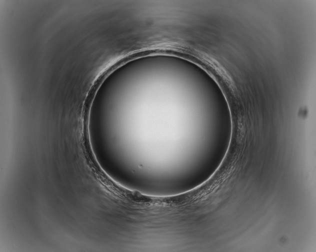 X0000101141316200806270910