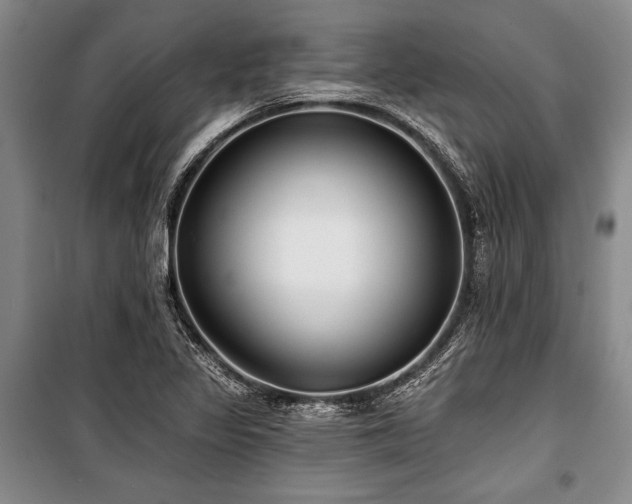 X0000101141317200806270910