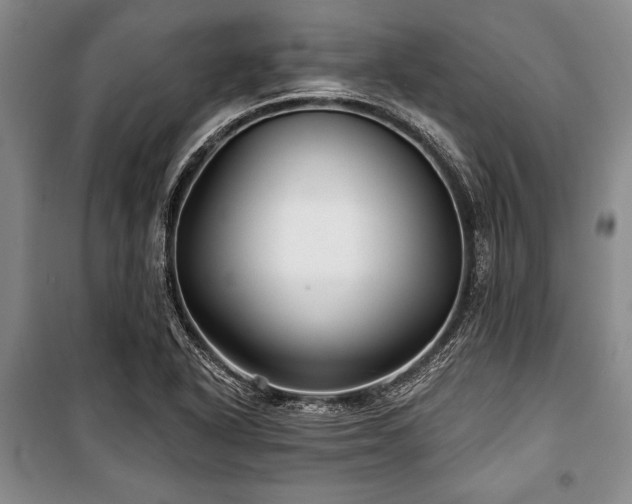 X0000101141318200806270910