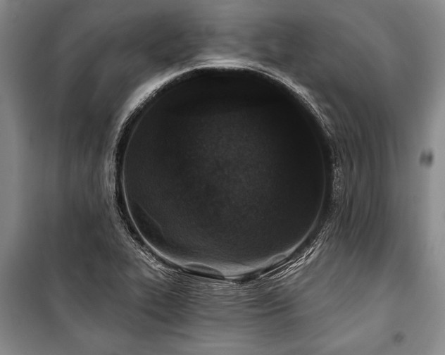 X0000101141319200806270910