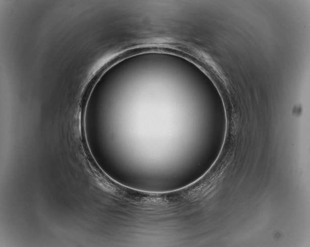 X0000101141320200806270910