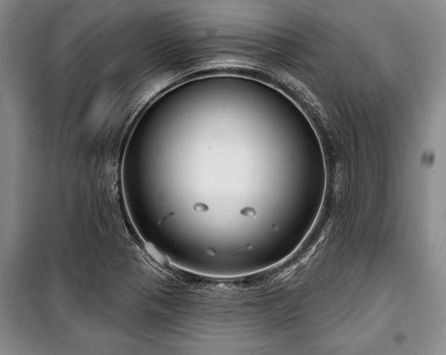 X0000101141321200806270910