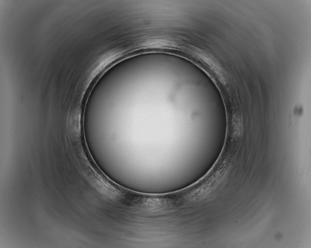 X0000101141322200806270910