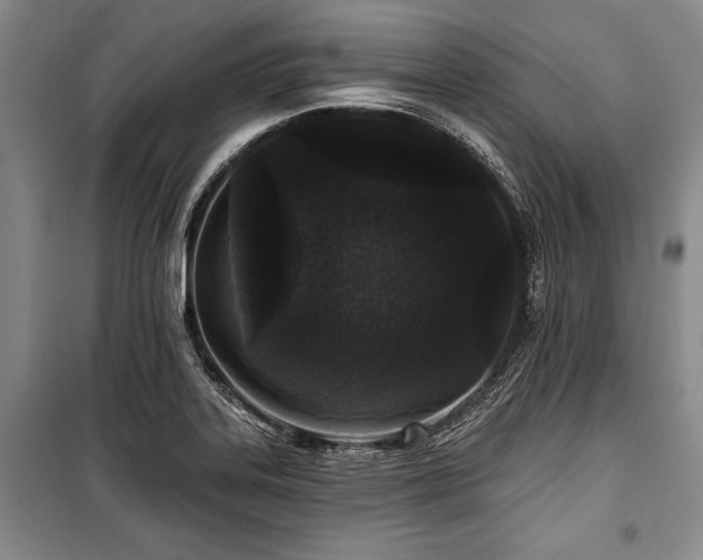 X0000101141323200806270910