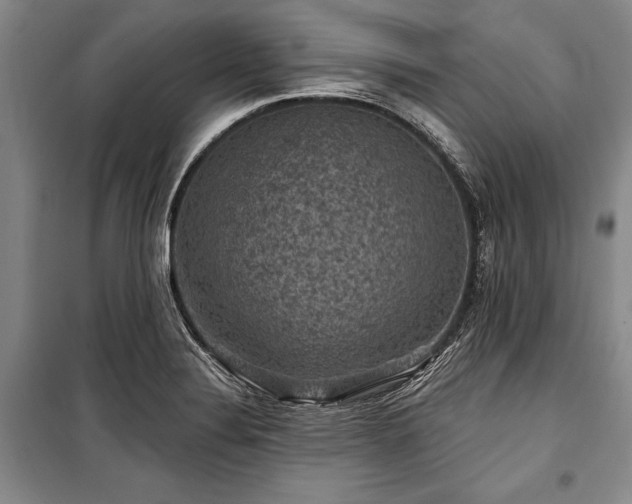 X0000101141324200806270910