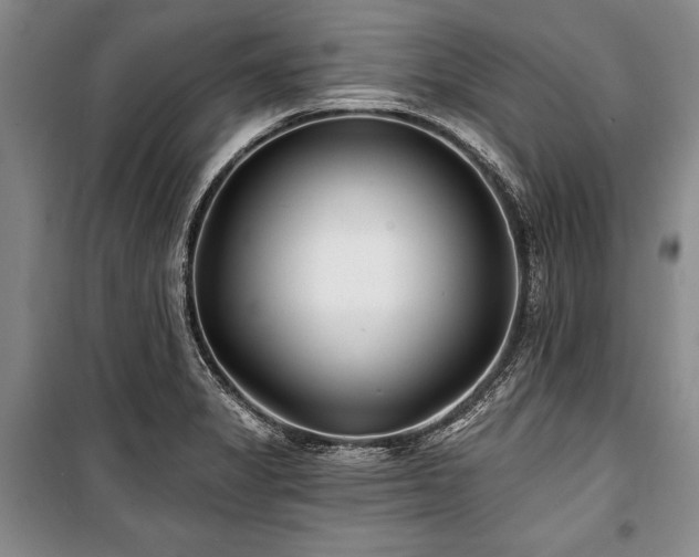 X0000101141325200806270910