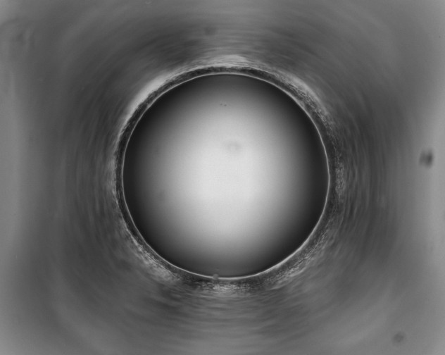 X0000101141326200806270910