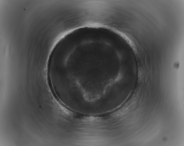 X0000101141327200806270910