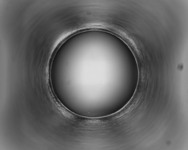 X0000101141328200806270910