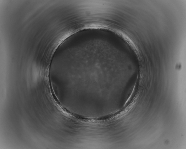 X0000101141329200806270910