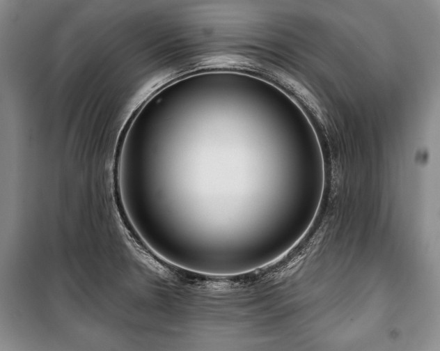 X0000101141330200806270910