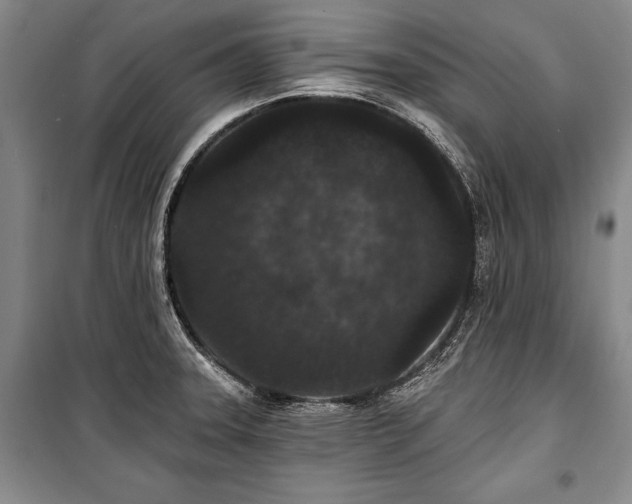 X0000101141331200806270911