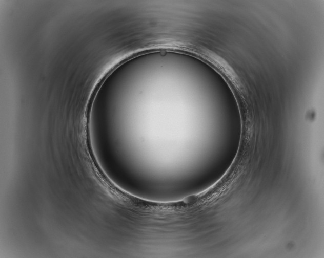 X0000101141332200806270911