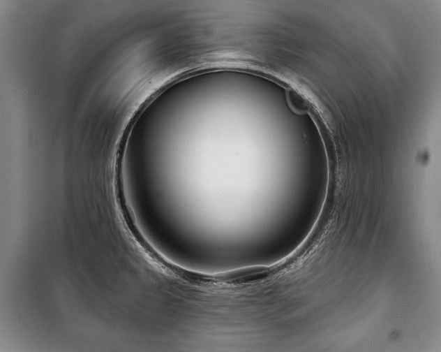 X0000101141333200806270911