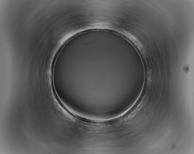 X0000101141334200806270911