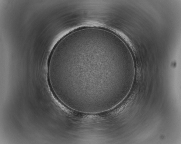 X0000101141335200806270911