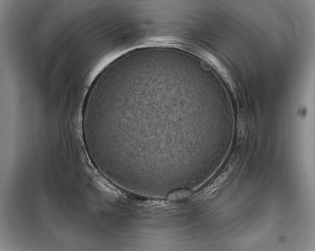 X0000101141336200806270911