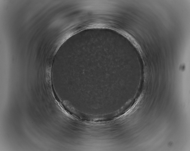 X0000101141337200806270911