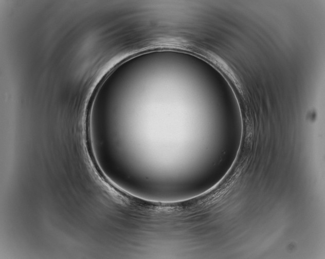 X0000101141339200806270911