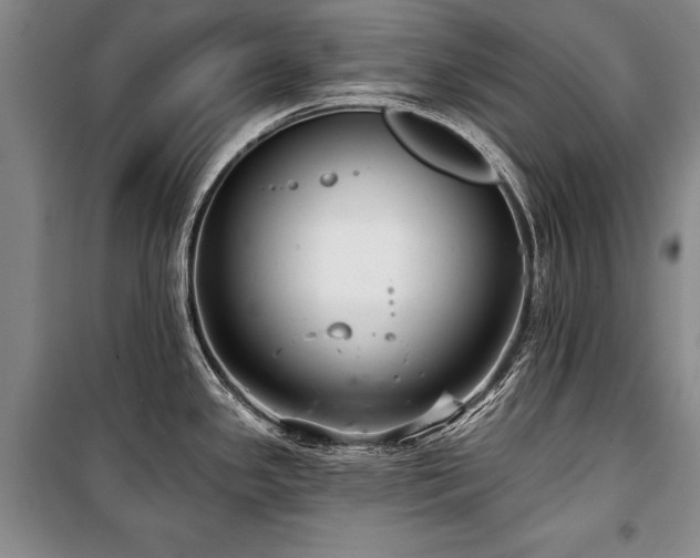 X0000101141341200806270911