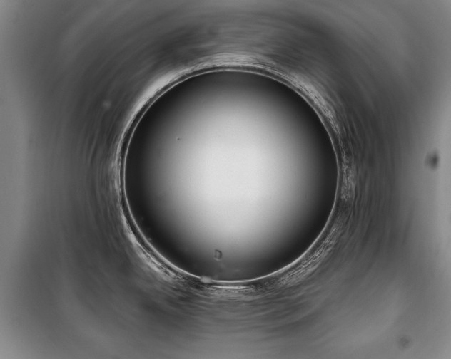 X0000101141342200806270911