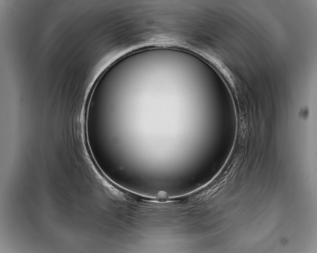 X0000101141343200806270911