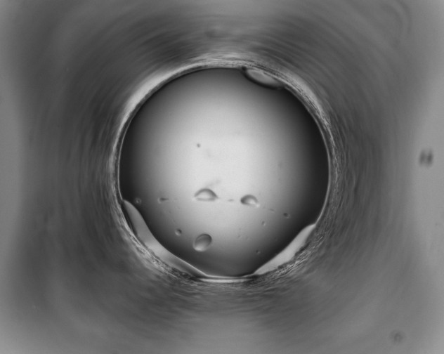 X0000101141344200806270911