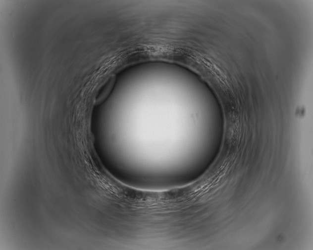 X0000101141345200806270910