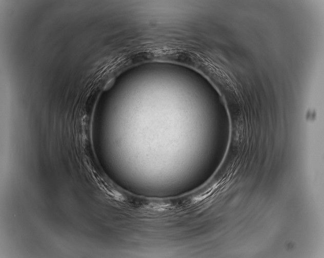 X0000101141346200806270910