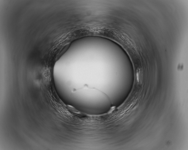 X0000101141347200806270910