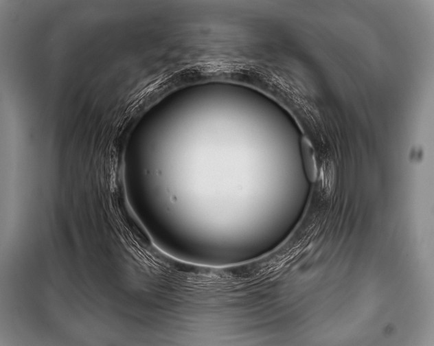 X0000101141348200806270910