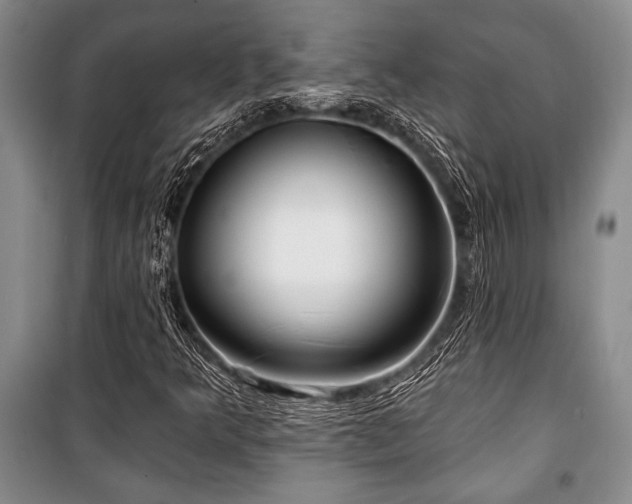 X0000101141349200806270910