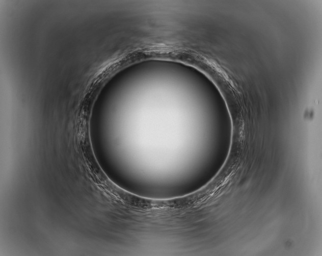 X0000101141350200806270910