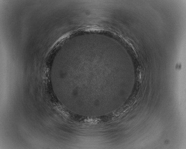 X0000101141351200806270910