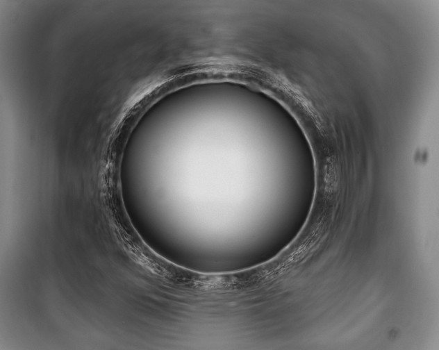 X0000101141352200806270910