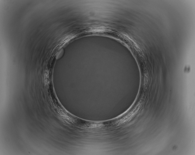 X0000101141353200806270910