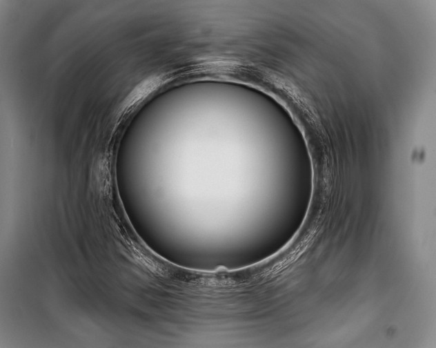 X0000101141354200806270910